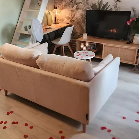 Le Cocon De Bord De Seine 公寓 *