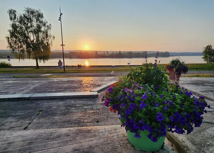 Le Cocon De Bord De Seine 公寓
